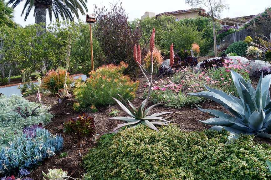 Del Mar landscape client